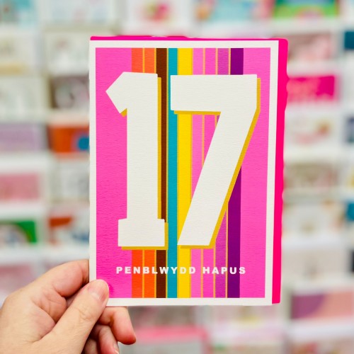 Cardyn Penblwydd 17 Oed - 17 Year Old Birthday Card 