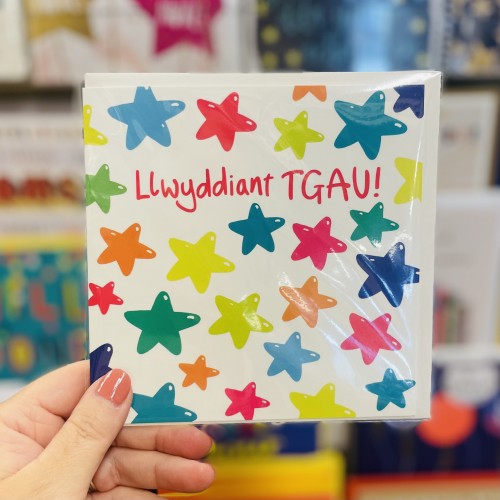 Cerdyn Cymraeg Llwyddiant TGAU - Welsh GCSE Exam Success Card