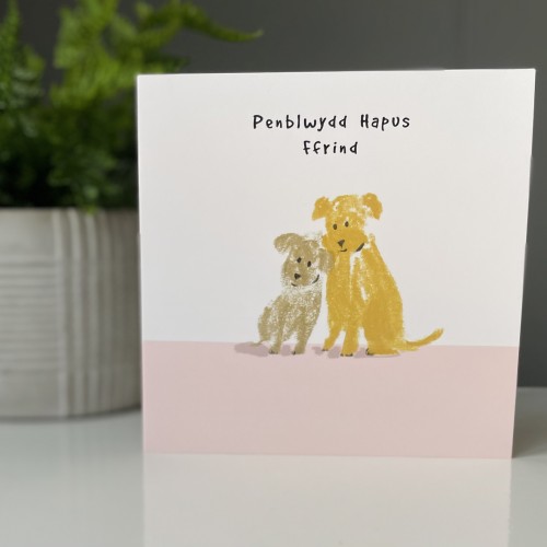 Cardyn Penblwydd - Birthday Card  