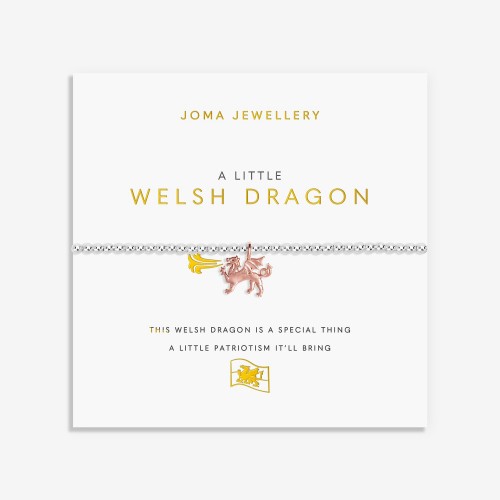 A Little' Welsh Dragon' Welsh Bracelet 