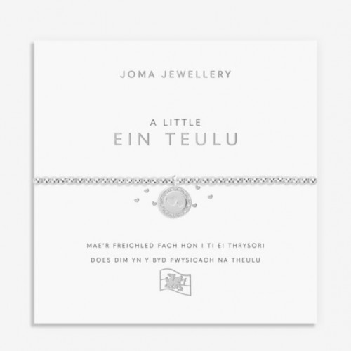 A Little 'Our Family' Welsh Bracelet in Silver Plating 