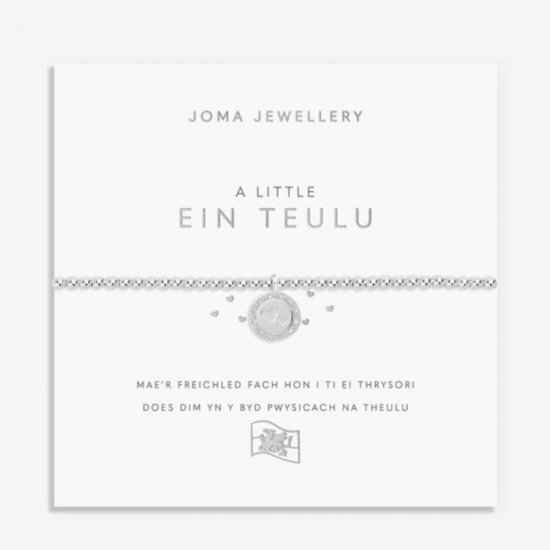 A Little 'Our Family' Welsh Bracelet in Silver Plating 