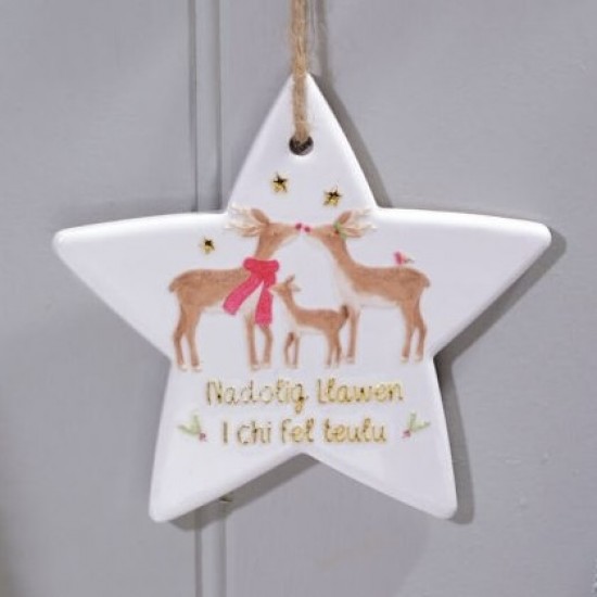 Welsh Ceramic Star for a Family 