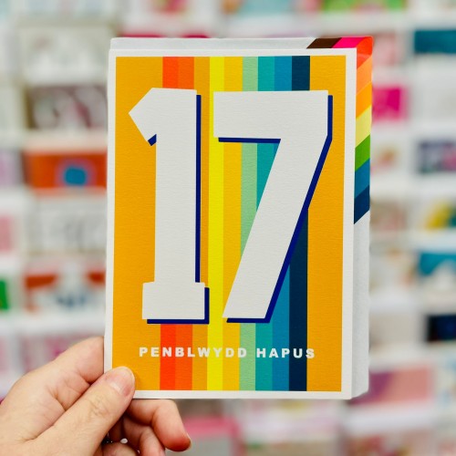 Cardyn Penblwydd 17 Oed - 17 Year Old Birthday Card 